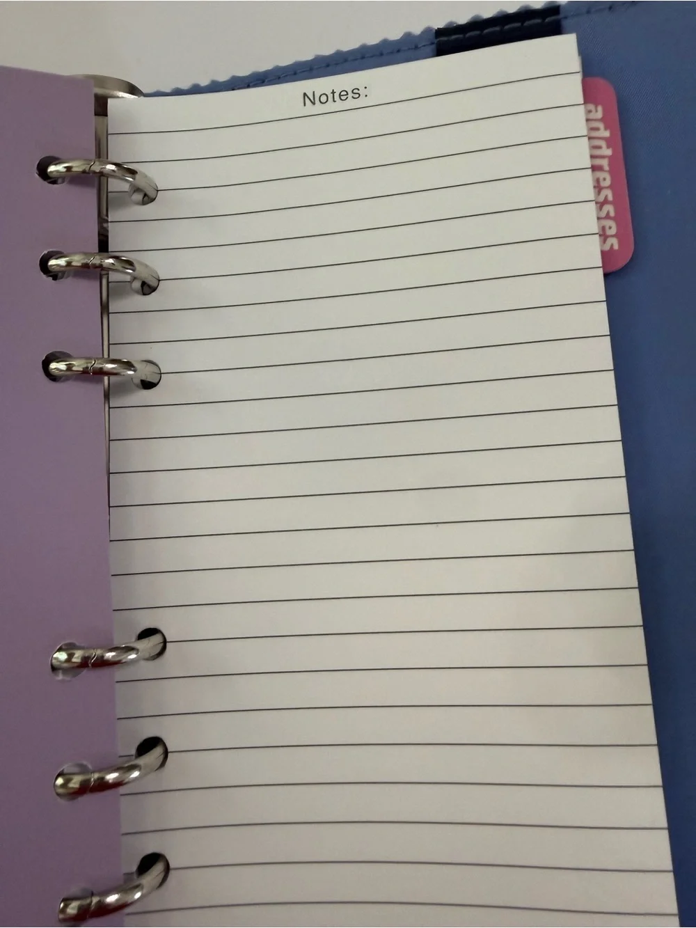 GAP Girls Soft Blue Fabric Cover Agenda, Project and Calendar Notebook